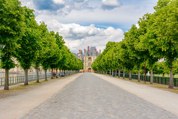 Wall Mural - Alley to Fontainebleau palace (Chateau de Fontainebleau) in Paris suburbs, France