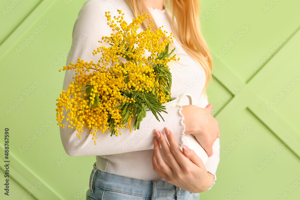 Woman holding beautiful mimosa branches on color background