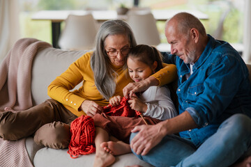 Wall Mural - Little girl sitting on sofa with her grandparents and learning to knit indoors at home.