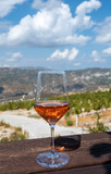 Fototapeta Krajobraz - Wine industry of Cyprus island, tasting of rose dry wine on winery with view on vineyards and south slopes of Troodos mountain range.
