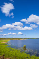 Wall Mural - Lakeshore with a wet meadow i ett vackert landskap