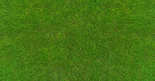 Green Grass Texture - Well-groomed Turf In The Garden