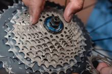 A Man Assembles A Sprocket Cassette Into The Rear Hub Of A Mountain Bike. Servicing And Overhauling A Mountain Bicycle Drivetrain At A Bike Repair Shop.