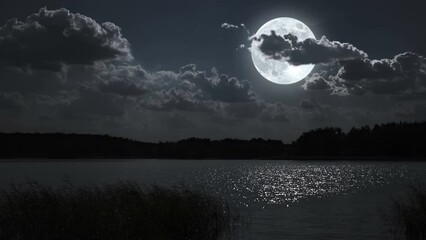 full moon night landscape with forest lake.