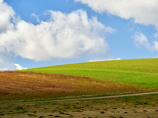 Green field to the horizon and blue sky with clouds