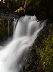 Wall Mural - Mackenzie river in the cascades in Oregon