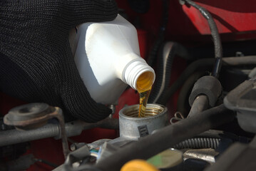 Wall Mural - New transparent yellow engine oil is poured into a car engine