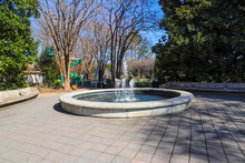 A Circular Water Fountain In The Garden Surrounded By Bare Winter Trees, Lush Green Trees And Plants, Curved Wooden Benches And Blue Sky At Atlanta Botanical Garden In Atlanta Georgia USA