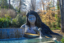 A Stunning Shot Of The Waterfall Goddess Surrounded By Lush Green Trees And Plants, Bare Winter Trees With Pond And Blue Sky With Clouds At Atlanta Botanical Gardens In Atlanta Georgia USA