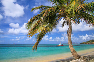 Wall Mural - Sandy beach at Hillsborough Bay, Carriacou Island, Grenada.