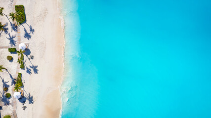 Wall Mural - aerial top down view of a tropical paradise beach with fine sand, cocnut palm trees and turquoise sh