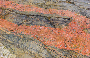 Close up of the texture of a pink pegmatite dyke at the coast of the Barents sea in the vicinity of Grense Jakobselv, Finnmark, Norway
