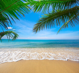 Wall Mural - tropical beach with coconut palm