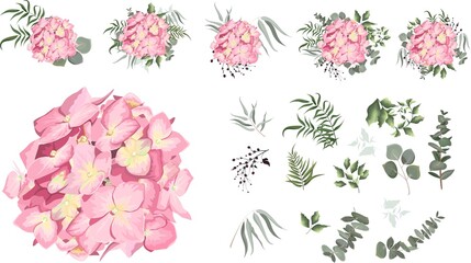 Wall Mural - Vector set of pink hydrangea and plants. Compositions of plants. Plants and flowers isolated on a white background. Elements for floral design.