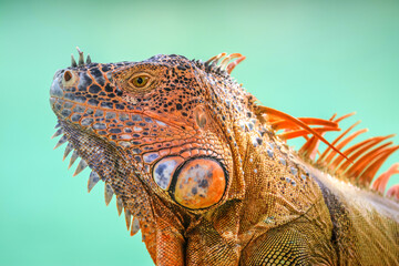 Cozumel, Mexico