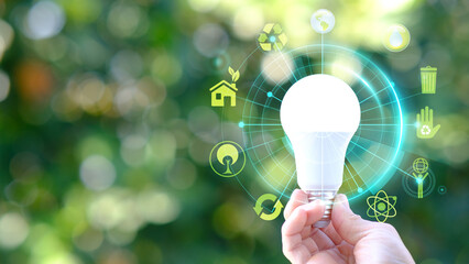 Poster - Hands preserving a green tree globe on a tropical nature summer background, Ecology and Environment concept, Energy saving light bulb and save the world concept, sustainable development