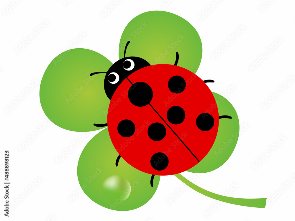 ☆てんとう虫とクロバー 四葉のクローバーとてんとう虫[02317001136]の