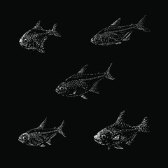 Wall Mural - X-ray tetra fish hand drawing vector illustration isolated on black background