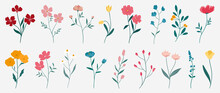 Collection Of Colorful Floral Elements In Flat Color. Set Of Spring And Summer Wild Flowers, Plants, Branches, Leaves And Herb. Hand Drawn Of Blossom Vectors For Decor, Website, Graphic And Shop.
