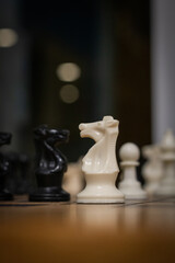 Wall Mural - Vertical shot of black and white knight chess figures