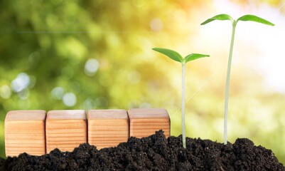 Sticker - Changing year concept in wooden blocks cubes with growing plant at sunrise.