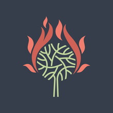 A Wonderful Plant. The Burning Bush That The Prophet Moses Saw. Bible Illustration.