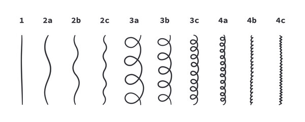 Classification of hair types - straight, wavy, curly, kinky. Scheme of different types of hair. Curly girl method. Vector illustration on white background.