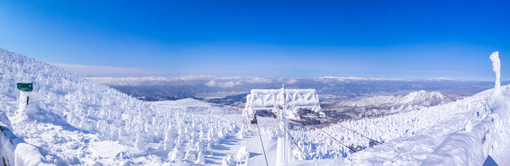 Wall Mural - Looking out over snow monsters plateau from the top of  observatory (Zao-onsen ski resort, Yamagata, Japan)