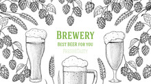 Beer Glasses And Hops Sketch. Brewery Design Template. Beer Hop Illustration. Hand Drawn Sketch Design. Beer Ingredients Vector Illustration.
