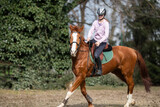 Fototapeta Konie - Young girl riding a horse
