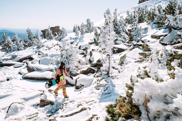 Wall Mural - Russia. Sheregesh. Girl snowboarder in black sun goggles in winter in sunny weather outdoors among the Christmas trees and snow. The girl goes with a snowboard in her handsmand posing.