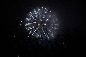 Wall Mural - fireworks in the night sky