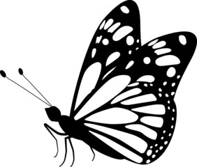 Wall Mural - Butterfly Illustration Butterfly SVG EPS PNG
