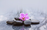 Fototapeta Storczyk - Spa stones and pink orchid flowers on gray background.