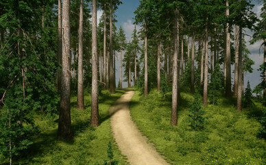 Wall Mural - Trail in sunny forest with firs, grass and flowers under a blue cloudy sky. 3D render.