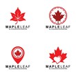© Belli VeCtoR03 - Maple Leaf Logo Template Design Vector, Emblem, Design Concept, Creative Symbol, Icon