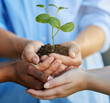 © Lucinda De Bruin/peopleimages.com - Nurturing growth. Cropped shot of unrecognizable people holding a young plant.