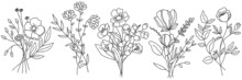Vector Line Art Hand Drawn Bouquet Of Flowers