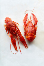 Raw Red Crayfish On White Background