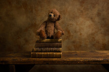 Antique Shelf With Vintage Teddy Bear