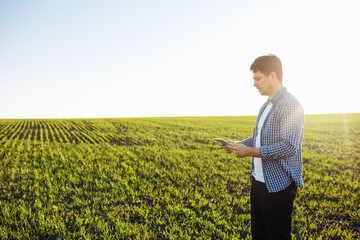 Wall Mural - Young agronomist check the data from the tablet and compares the new wheat seeding progress with expectations. Technologies and farming concept.