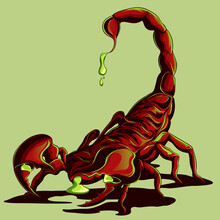 Poisonous Red Scorpion On Flat Background