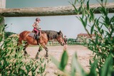 Fototapeta  - Lekcja jazdy konnej na lonży w stadninie konnej.  Jazda konna na padoku