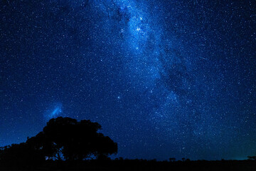 Wall Mural - A view to the starry galaxy