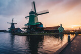 Fototapeta Tulipany - Windmill