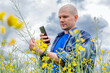 Agronomist or farmer standing in oilseed rape crop, using a mobile smartphone app for yield estimation in blooming and ripening rapeseed field. Canola plants in late spring.