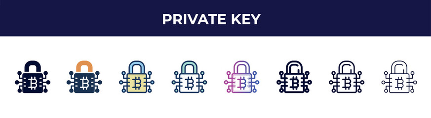 Poster - private key icon in 8 styles. line, filled, glyph, thin outline, colorful, stroke and gradient styles, private key vector sign. symbol, logo illustration. different style icons set.