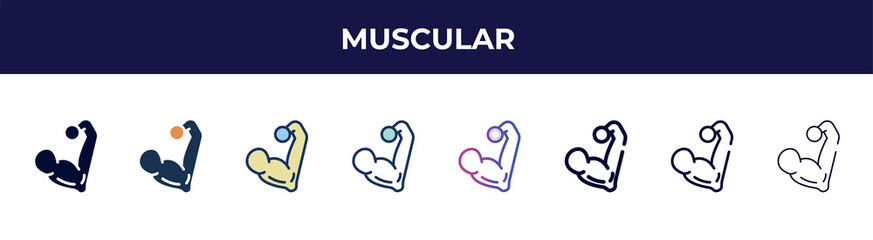 Poster - muscular icon in 8 styles. line, filled, glyph, thin outline, colorful, stroke and gradient styles, muscular vector sign. symbol, logo illustration. different style icons set.