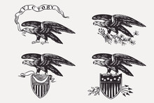 Vector Eagles Set With Arrows, Shield, Ribbons, And Olives Branch. Illustration Of US History And 4th Of July Celebration In Engraving Style.