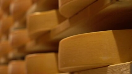 Sticker - Round cheese stored on wooden boards